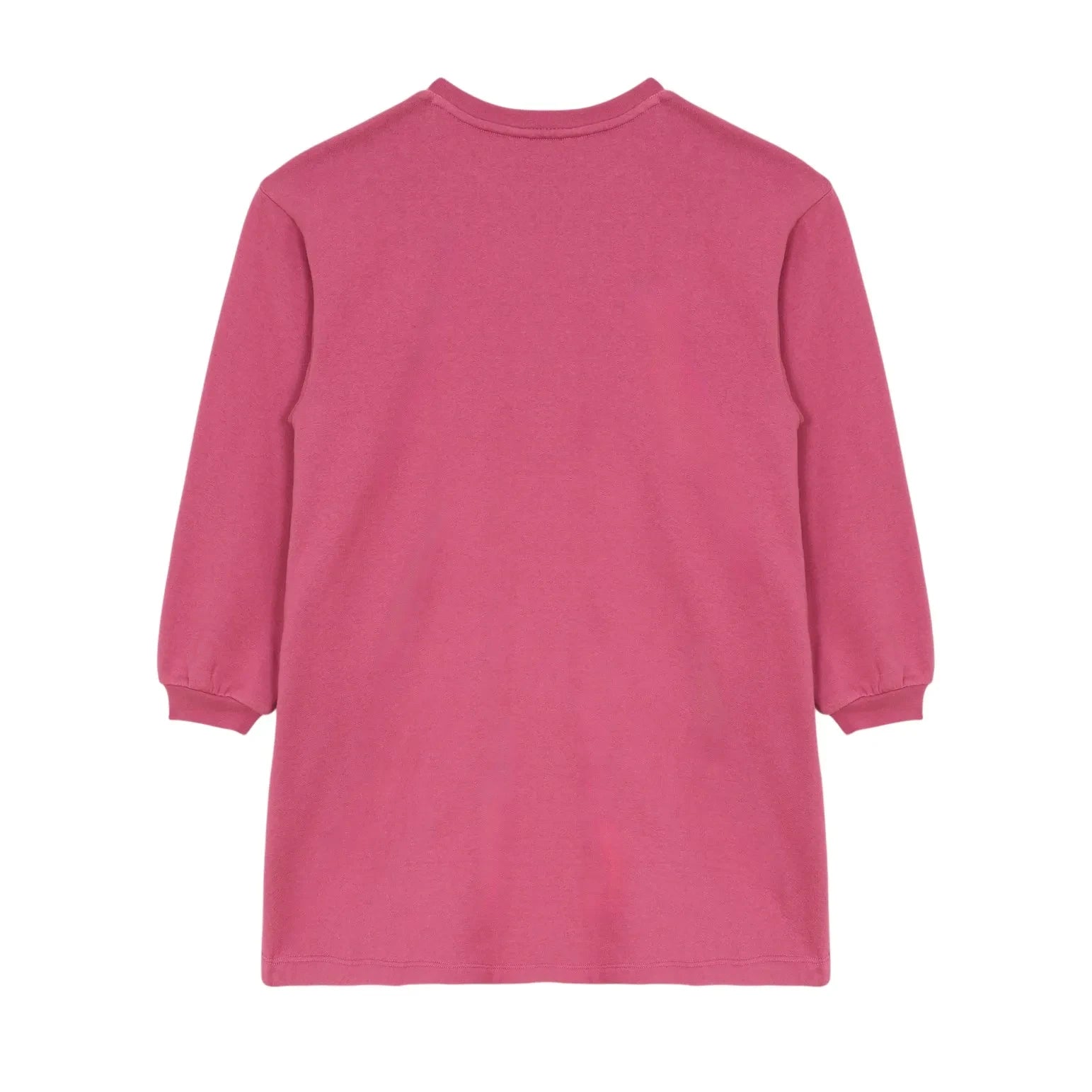 Hundred Pieces - Briona Birds Elbise | Toz Pembe