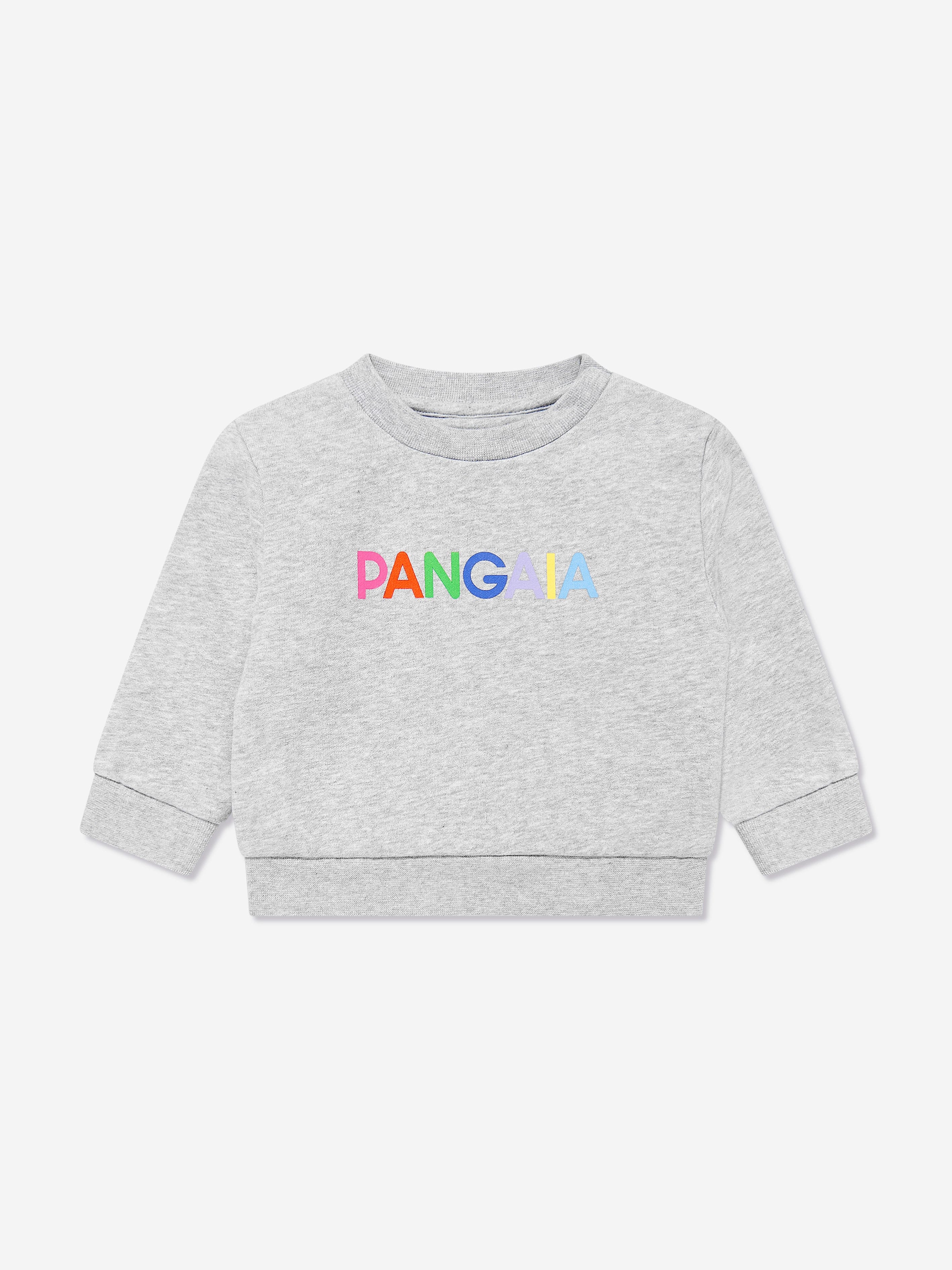 PANGAIA Baby 365 Graphic Sweatshirt in Grey