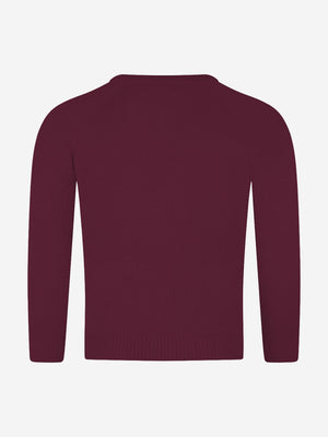 Zeco Kids School Knitted V-Neck Jumper in Maroon