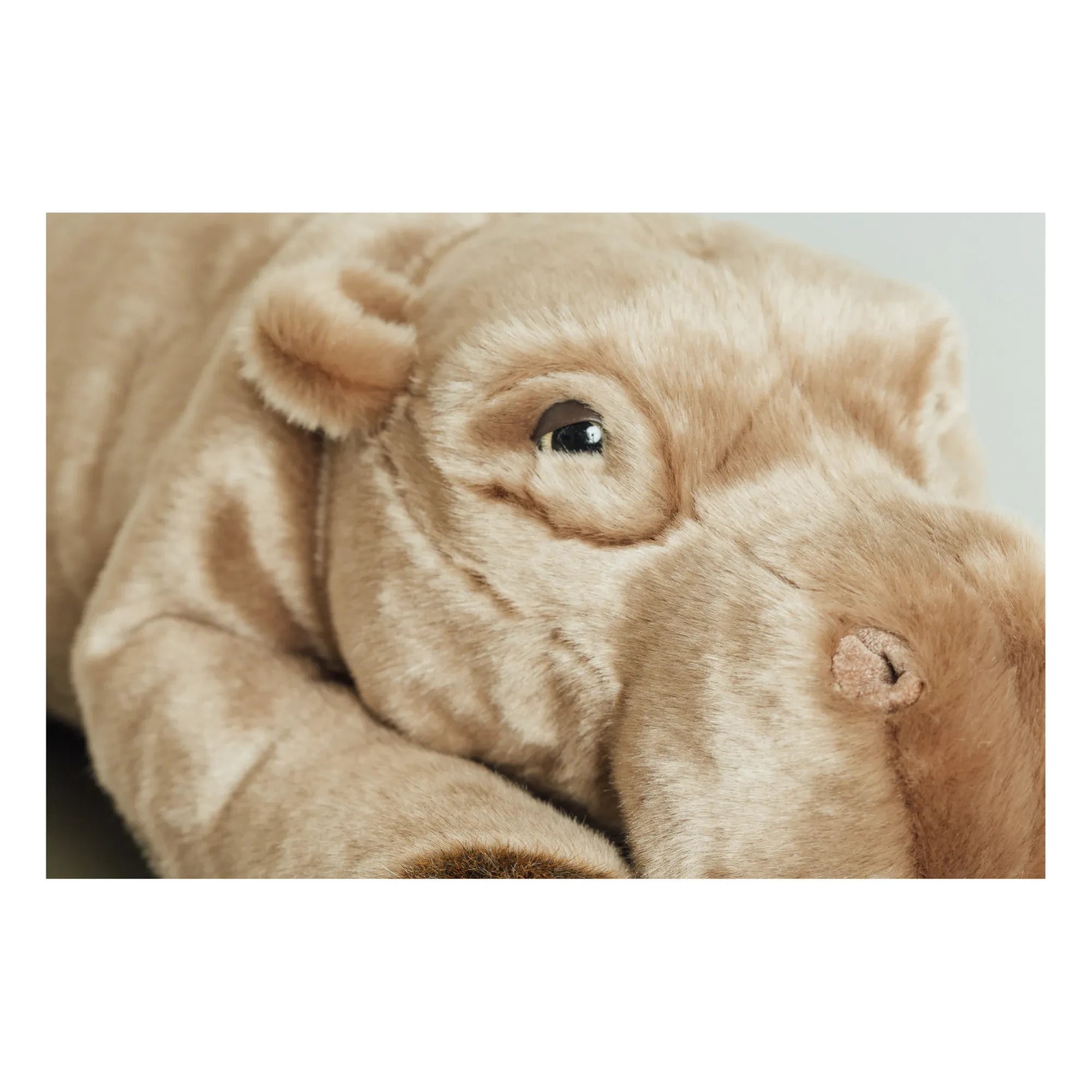 La Pelucherie - My Hippo Edgar Peluş Oyuncak | Koyu gri