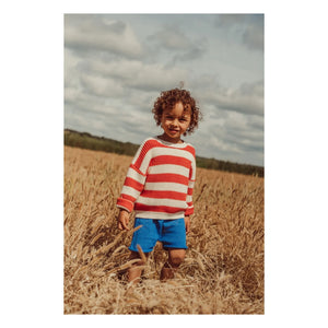 THE LiTTLE POETS - Jobim Organik Pamuk Örgü Şort | Kraliyet mavisi