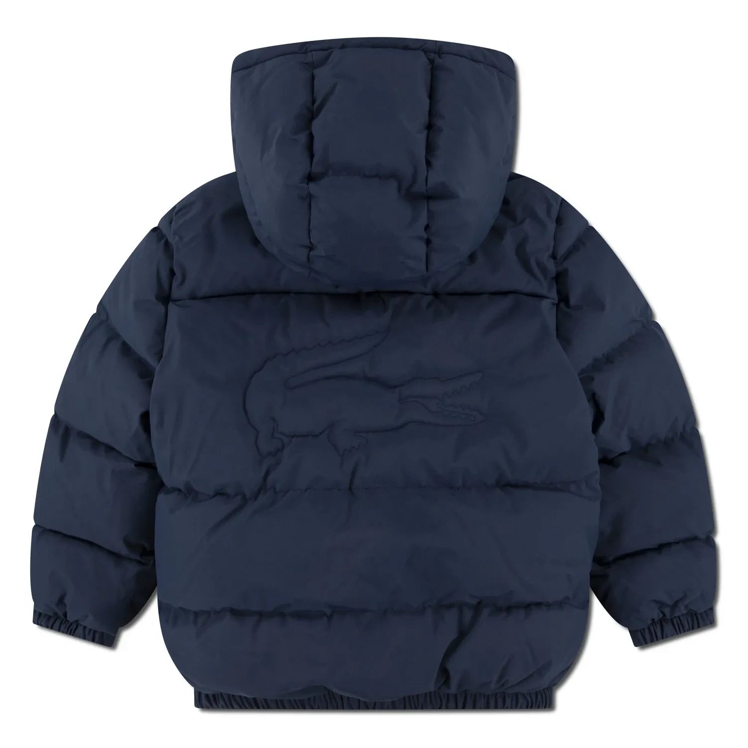 Lacoste - Geri Dönüştürülmüş Elyaf Logolu Dolgulu Mont | Lacivert