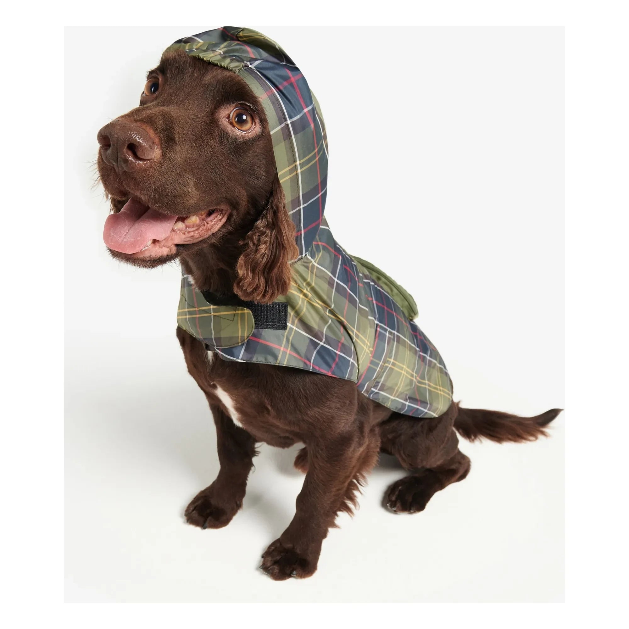 Barbour - Köpekler için Katlanabilir Tartan Kaban | Mavi