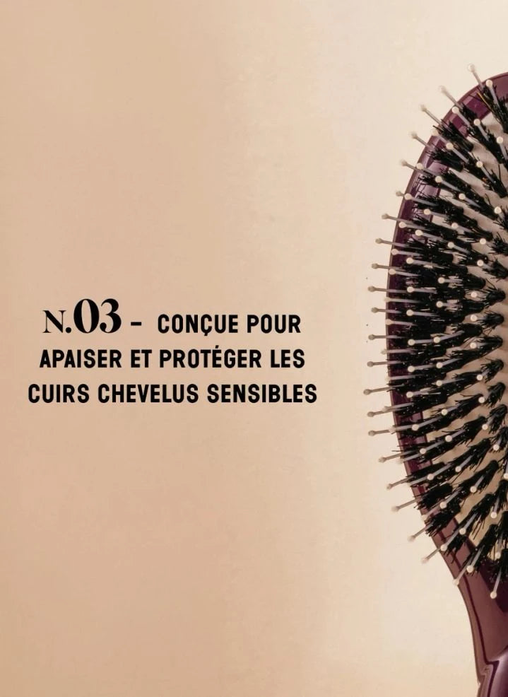 La Bonne Brosse - "L'Indispensable Douceur" فرشاة الشعر رقم 03 - فروة رأس حساسة | باذنجان