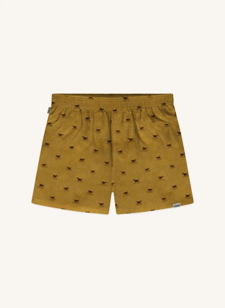 Pockies - Beagle Boxer | Hardal