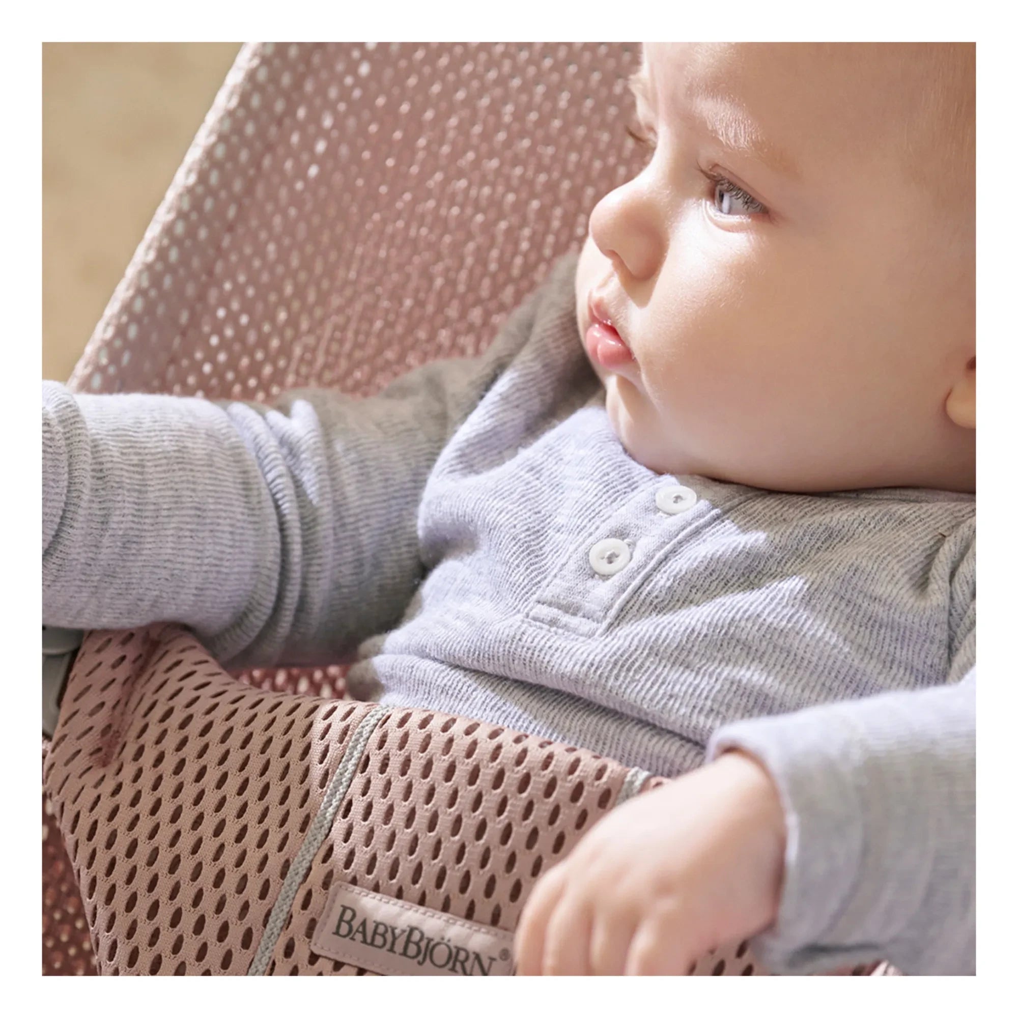 BabyBjörn - Bliss Mesh Bebek Salıncağı | Rosewood