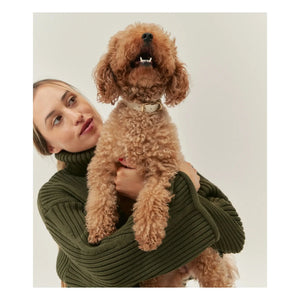 Cafide - Vegan deri köpek tasması | Bej