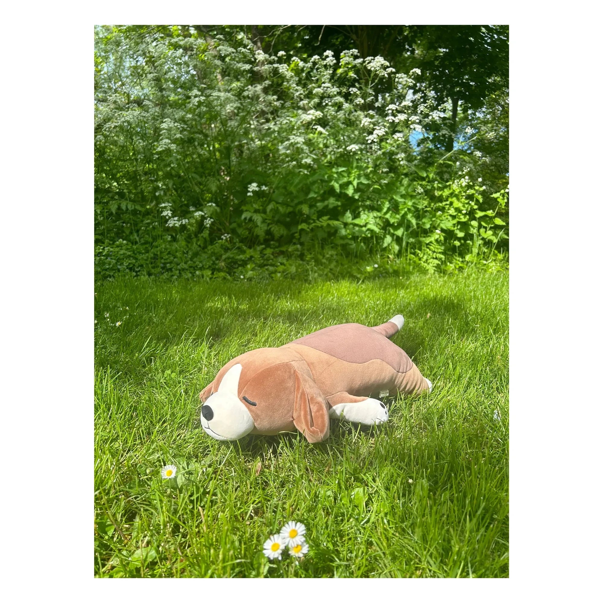 Nemu Nemu - Vick the Beagle peluş köpek | Kahverengi
