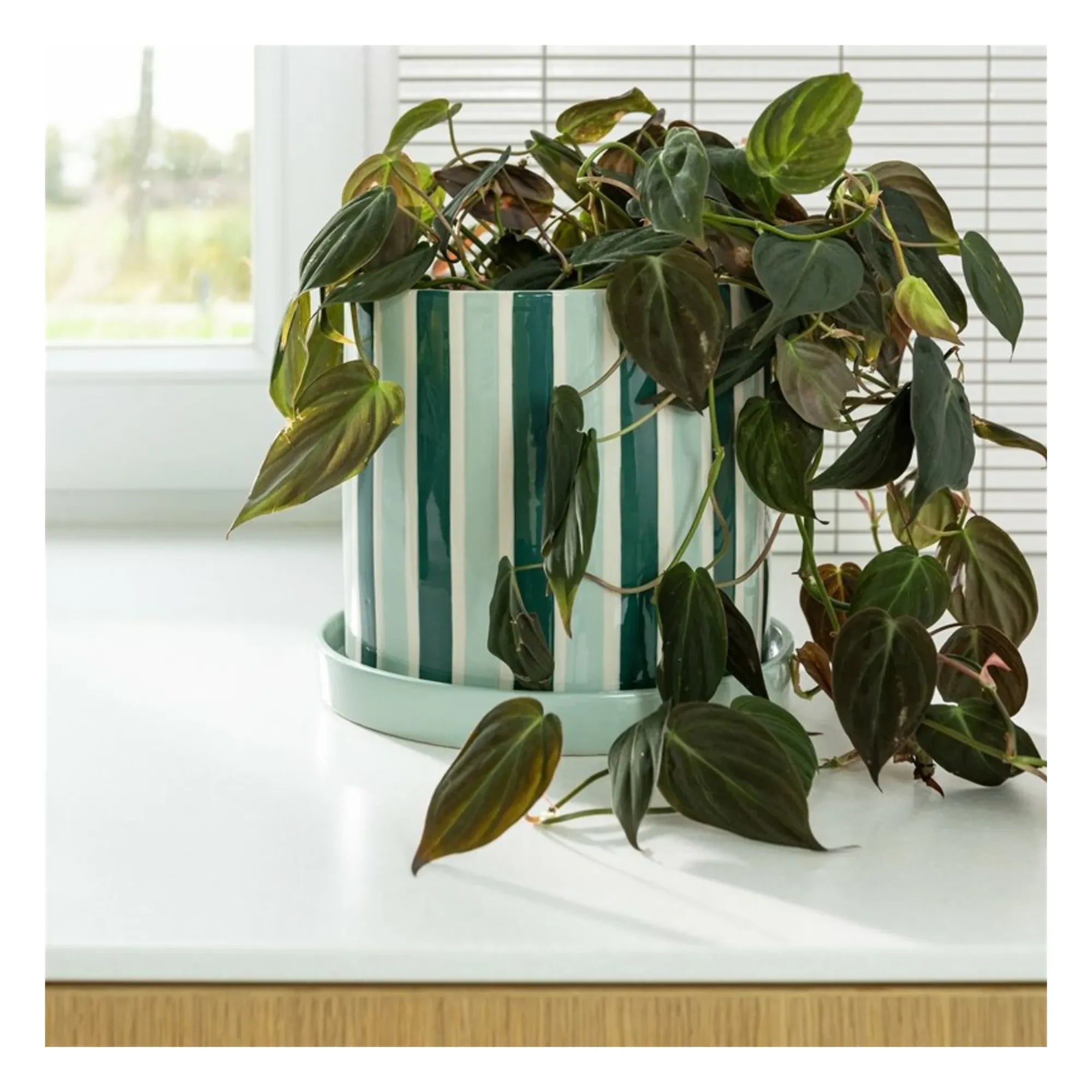 &Klevering - Clash Stripe saksı | Yeşil