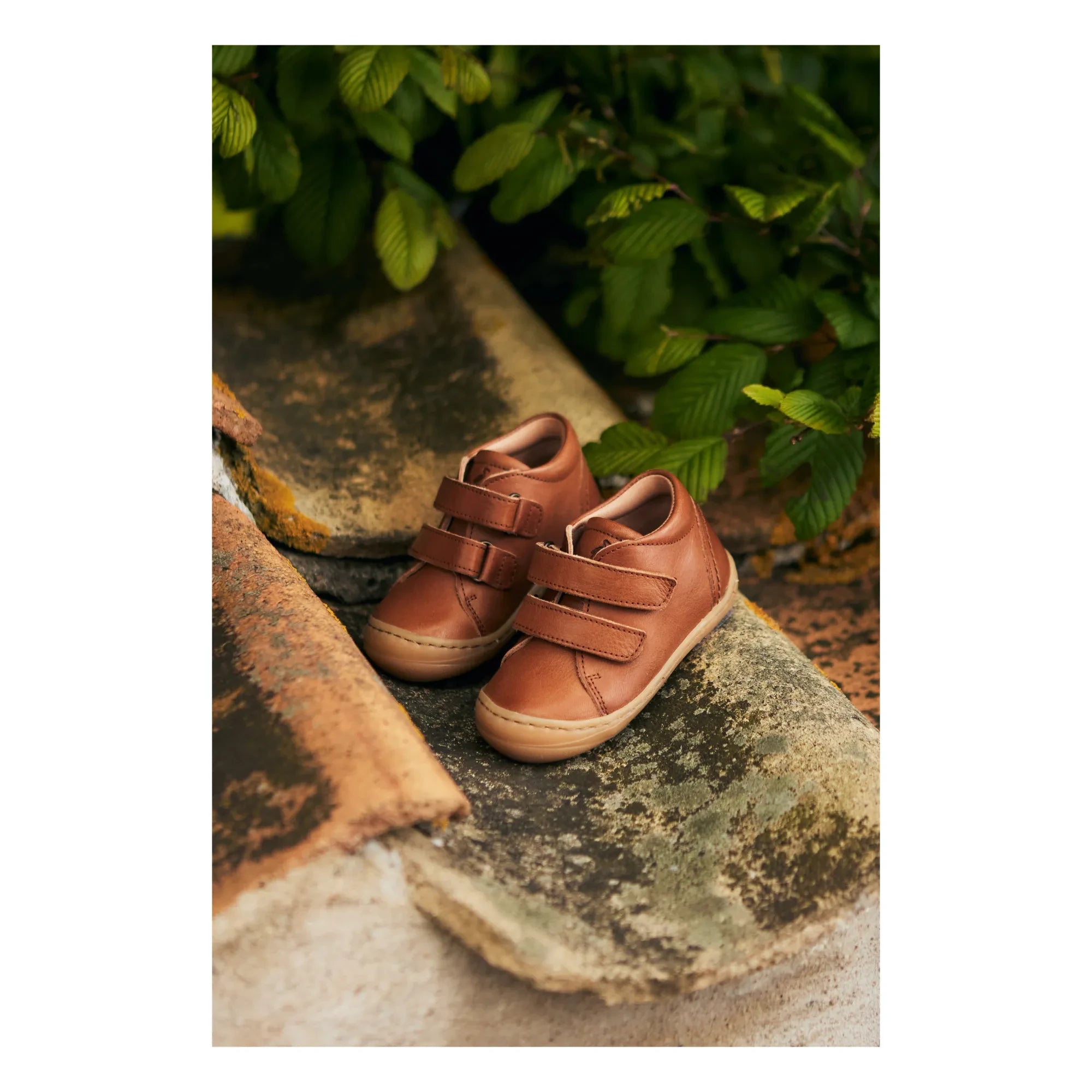 Petit Nord - Günlük Cırt Cırtlı Sneakers | Konyak