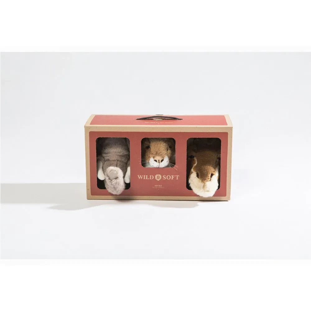 Wild & Soft - Safari Duvar Askıları - 3'lü Set