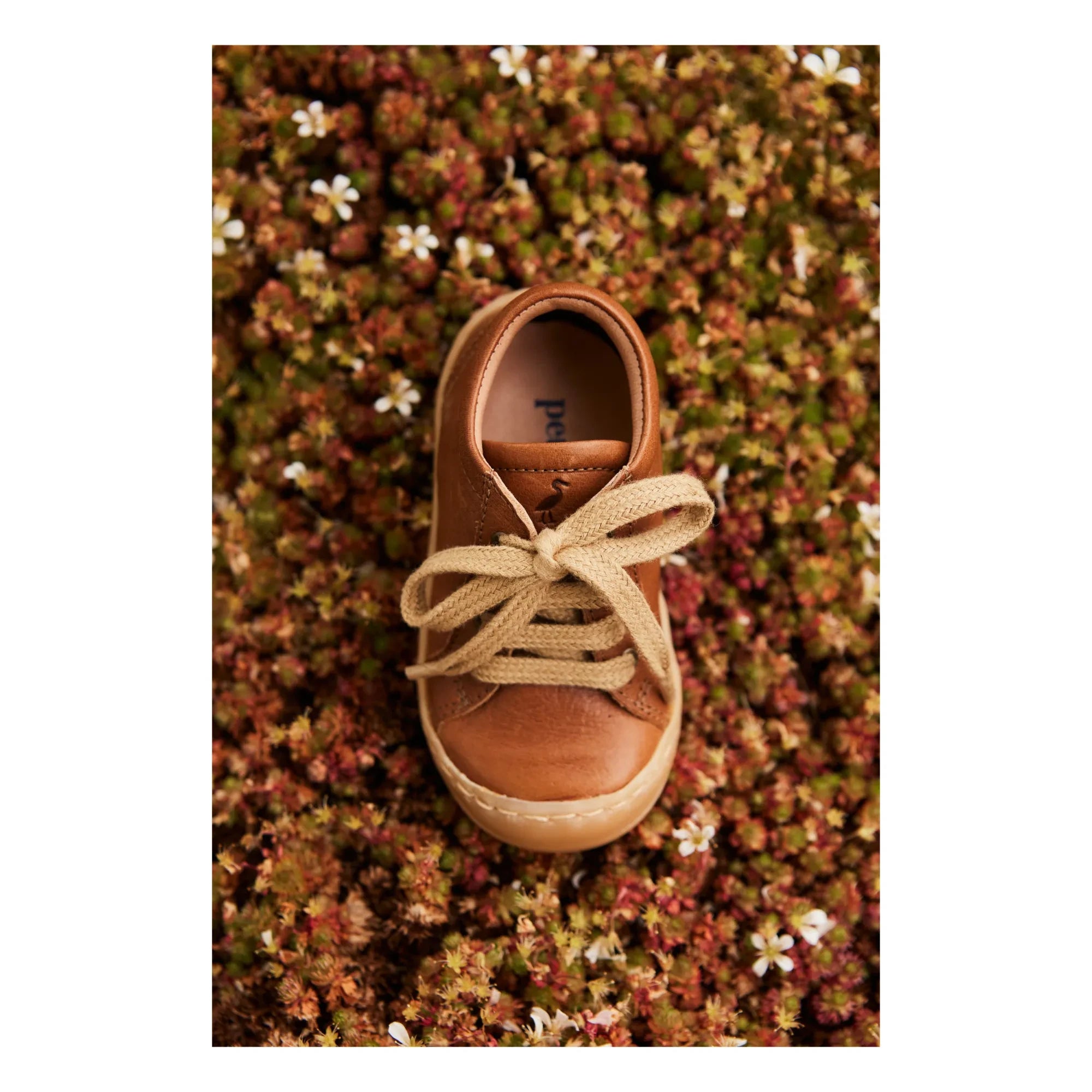Petit Nord - Günlük Bağcıklı Sneaker | Konyak