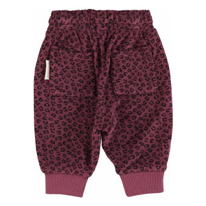 Piupiuchick - Organik Pamuklu Leopar Desenli Terry Jogger | Aubergine