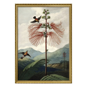 The Dybdahl Co. - Çiçekler Ağacı posteri