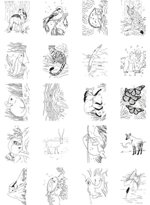 Kidywolf - Kidydraw Pad 8+ لوحة رسم