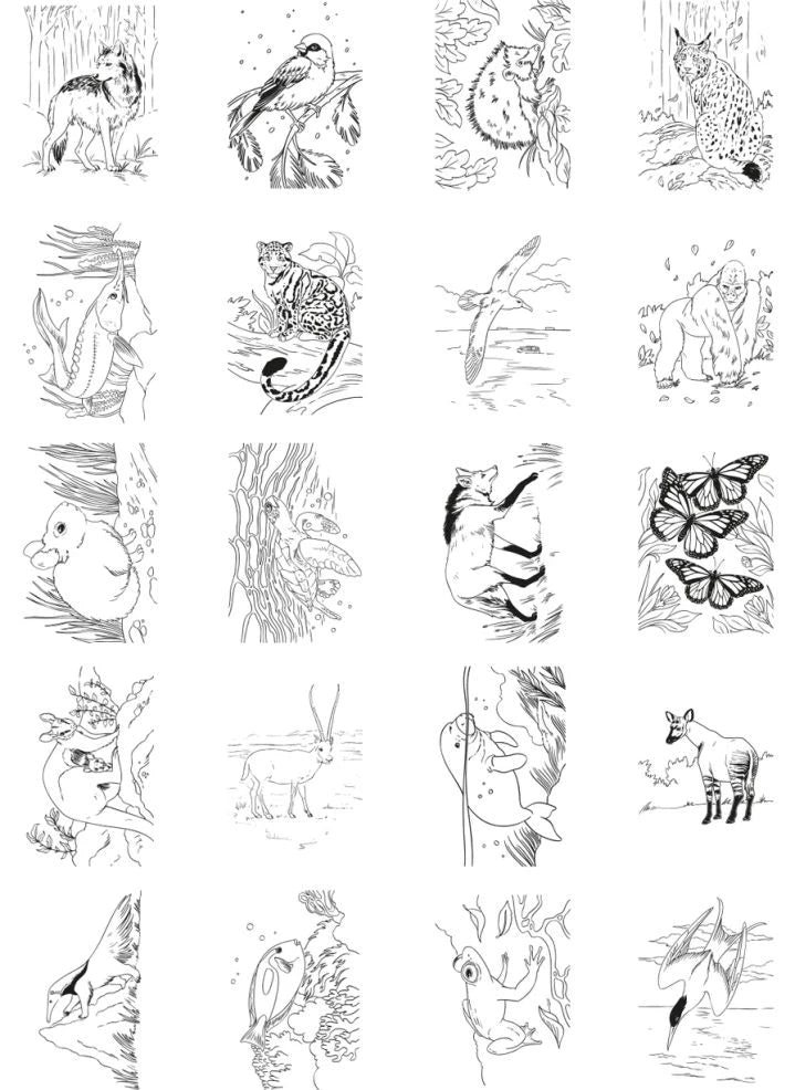 Kidywolf - Kidydraw Pad 8+ لوحة رسم