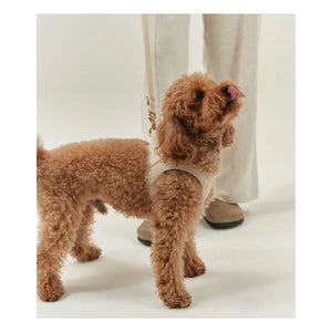 Cafide - Vegan deri köpek tasması | Bej