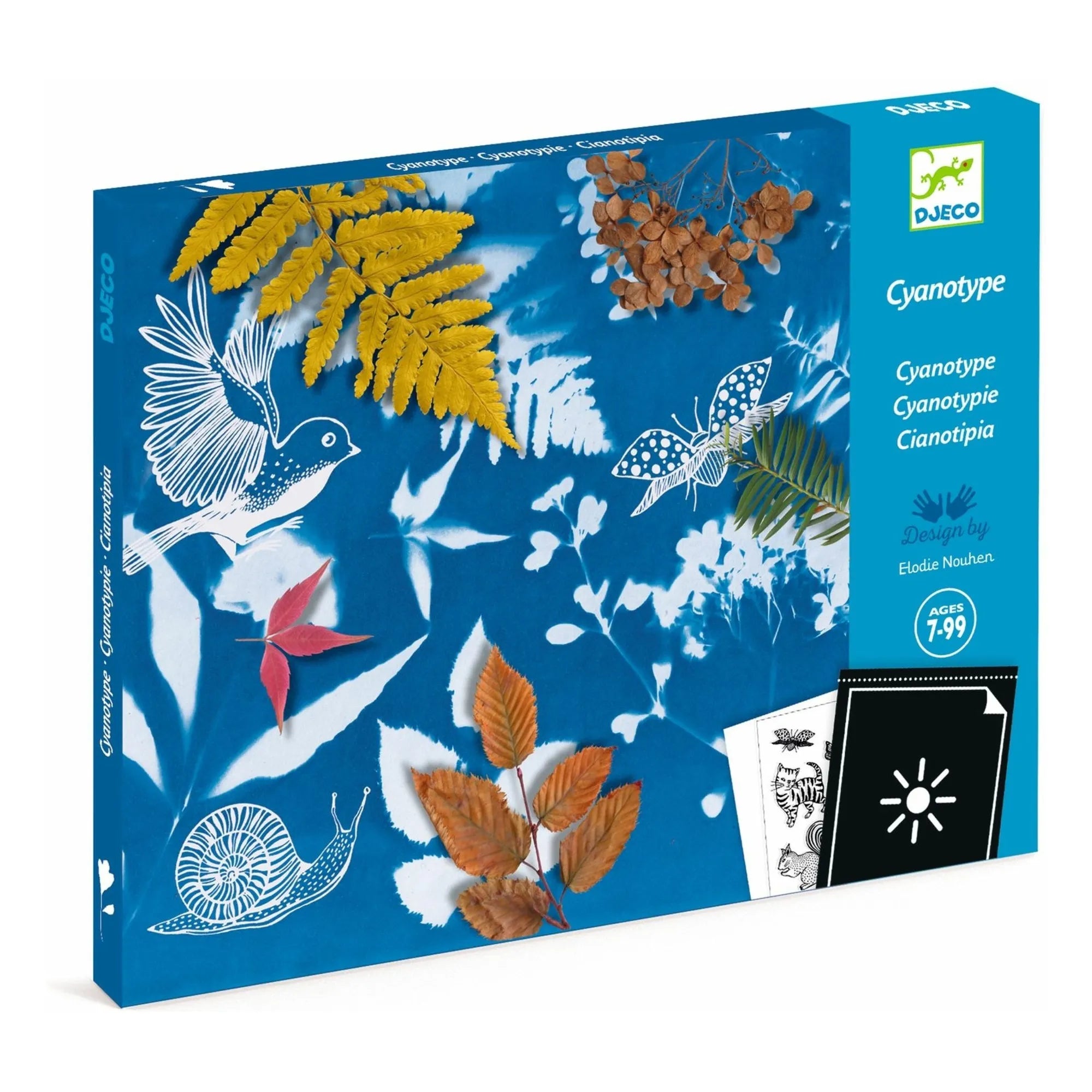 Djeco - İlk Cyanotype Kitim