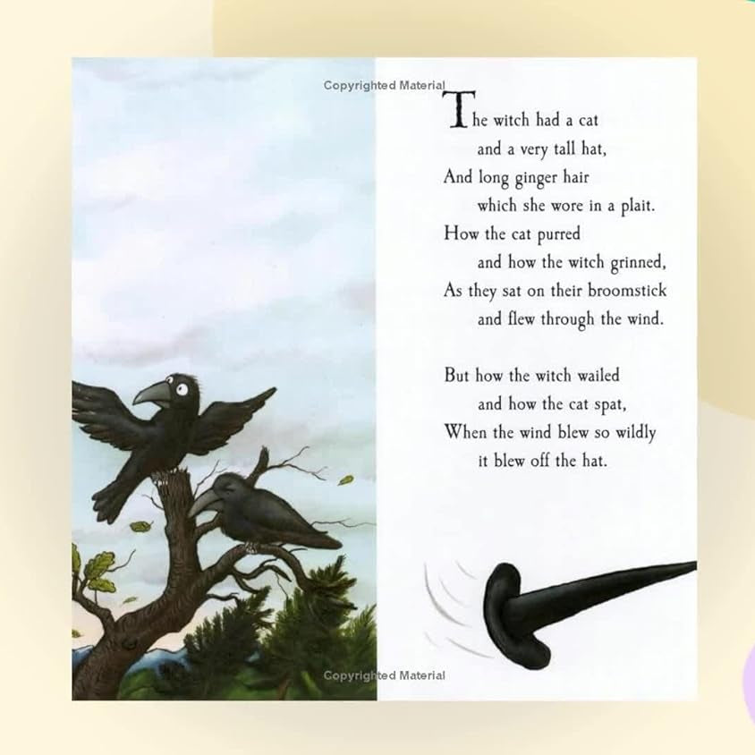 بان ماكميلان - جوليا دونالدسون وأكسل شيفلر غرفة على المكنسة كتاب قصة باللغة الإنجليزية