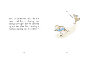 PRH Childrens - The Tale Of Peter Rabbit