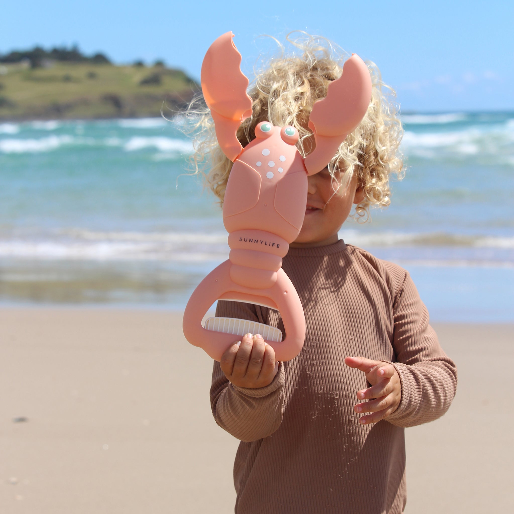 صني لايف - لعبة جمع رمال الكورال لوبستر