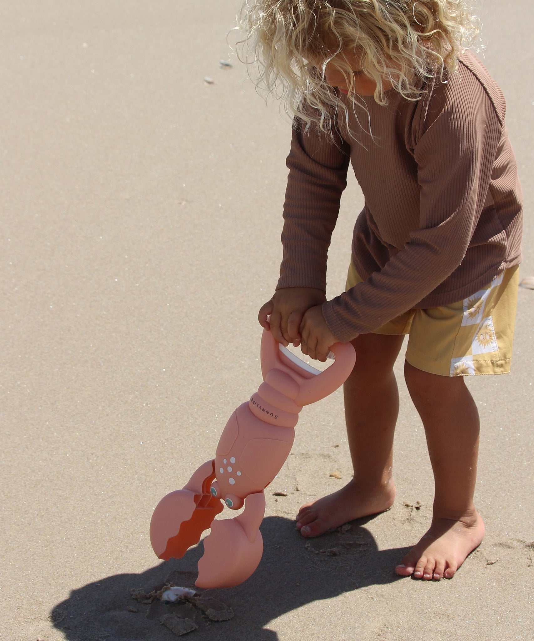 صني لايف - لعبة جمع رمال الكورال لوبستر