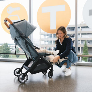 UPPAbaby MINU V3 - Dillan-Strollers-Dillan- | Natural Baby Shower